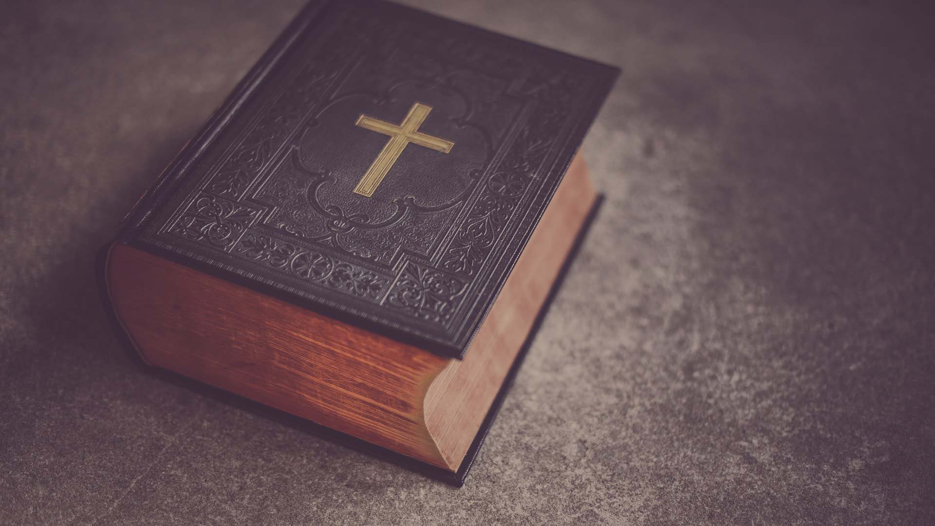 Foto de una biblia, por kiwihug a través de Unsplash.